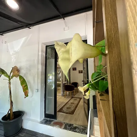 Bed & Breakfast Destination 3*